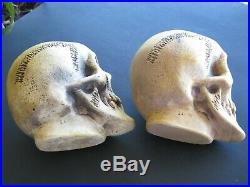 2 Each Vintage Randotti Medium Skulls # 829 Both Still Glows In The Dark