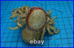 Hot Toys 16 MMS62 Pirates of the Caribbean Davy Jones Figure Octopus Head