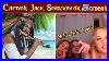 Jack-Sparrow-Plays-Pirates-Of-The-Caribbean-Flute-On-Omegle-Part-2-Ayj-Beatbox-01-hfii