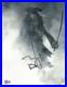 Johnny-Depp-Signed-Autograph-Pirates-Of-The-Caribbean-11x14-Photo-Beckett-BAS-01-jh