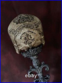 Pirates Of The Caribbean Skull Zane Wylie On A Real Human Skull RESIN REPLICA