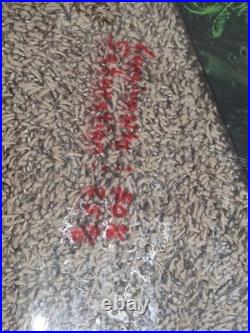 TEST PRINT Pirates Of The Caribbean Pinball JJP JERSEY JACK PINBALL