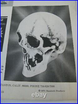 Vintage Randotti Large Skull # 817 & Spider Skull # 892 Both Glow In The Dark
