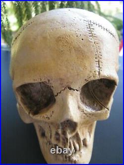 Vintage Randotti Large Skull # 817 Still Glows In The Dark