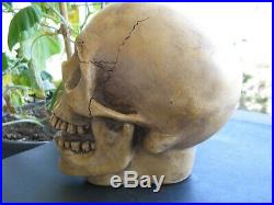 Vintage Randotti Laughing Skull Marked # 847 Randotti & Still Glows In The Dark